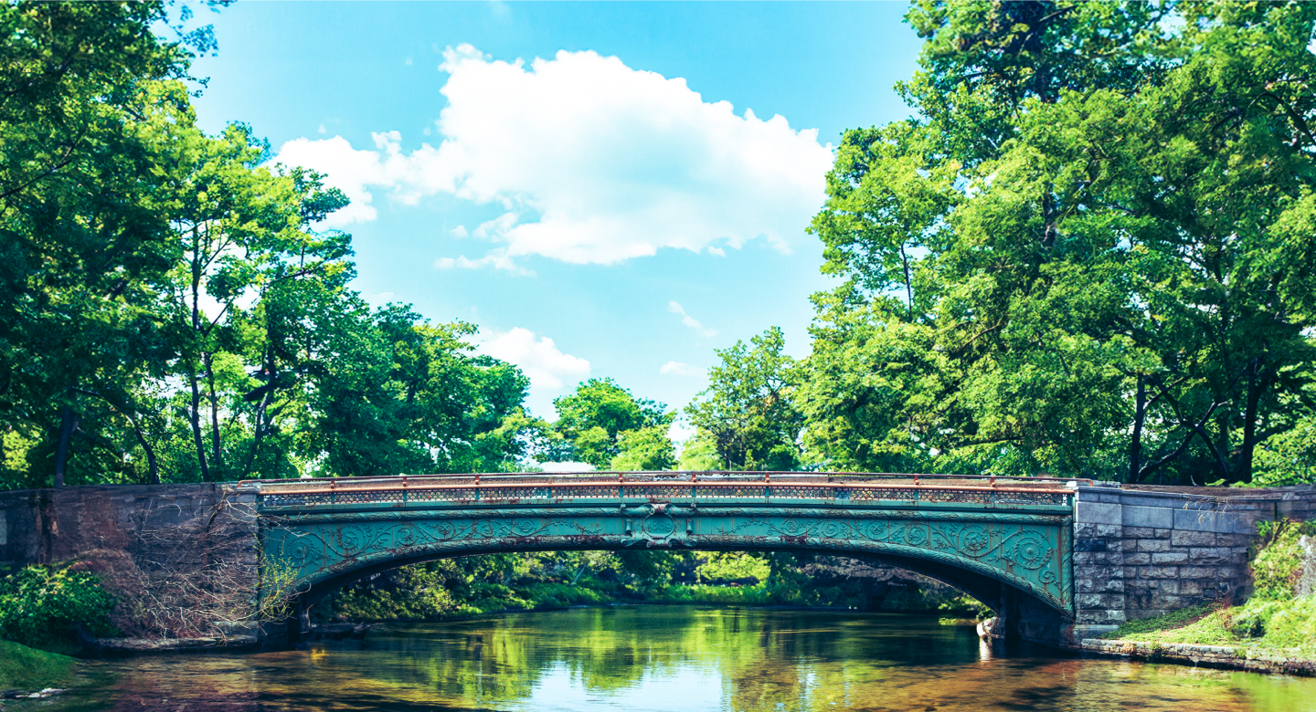 Prospect Park Website BG